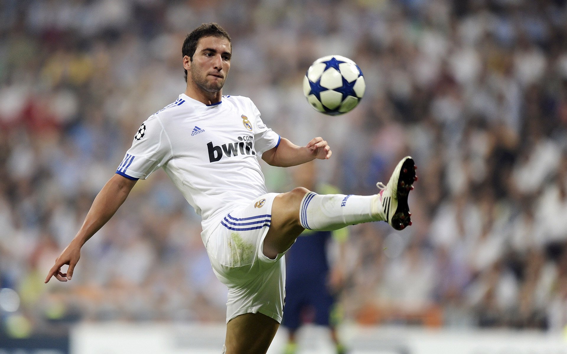 开云体育官网app-利物浦vs皇家马德里、巴黎圣日尔曼vs拜仁慕尼黑观点，利物浦对巴黎圣日耳曼的比分